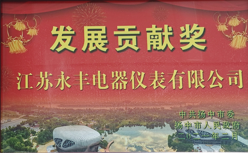 2021年揚中市發展貢獻獎